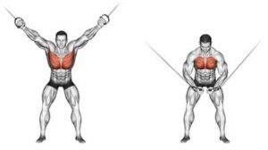 Cable Crossovers For Lower Chest Workout