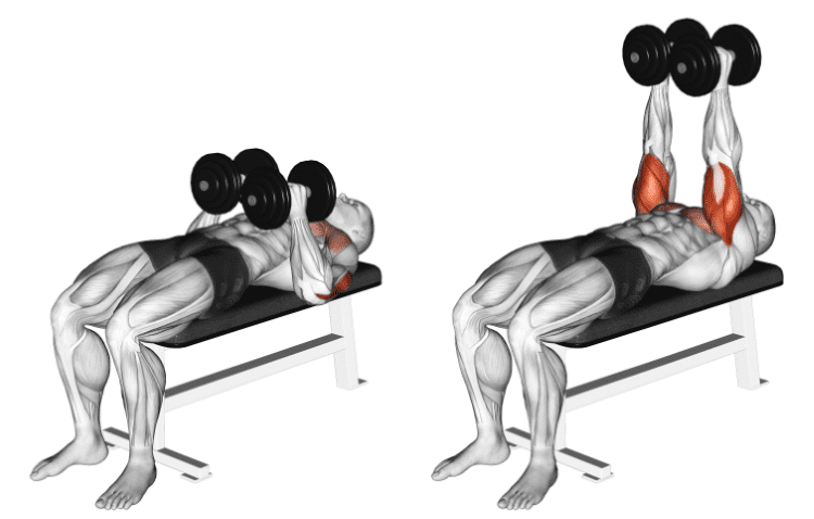 Dumbell Bench Press