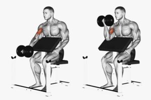 Preacher Curl