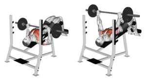 Decline Bench Press For Lower Chest Workout