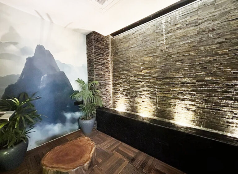 “Indoor relaxation area with stone feature wall, potted plants, and nature-inspired mural.”