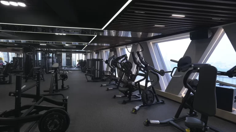 Modern gym interior with advanced strength training machines and natural light through large geometric windows.