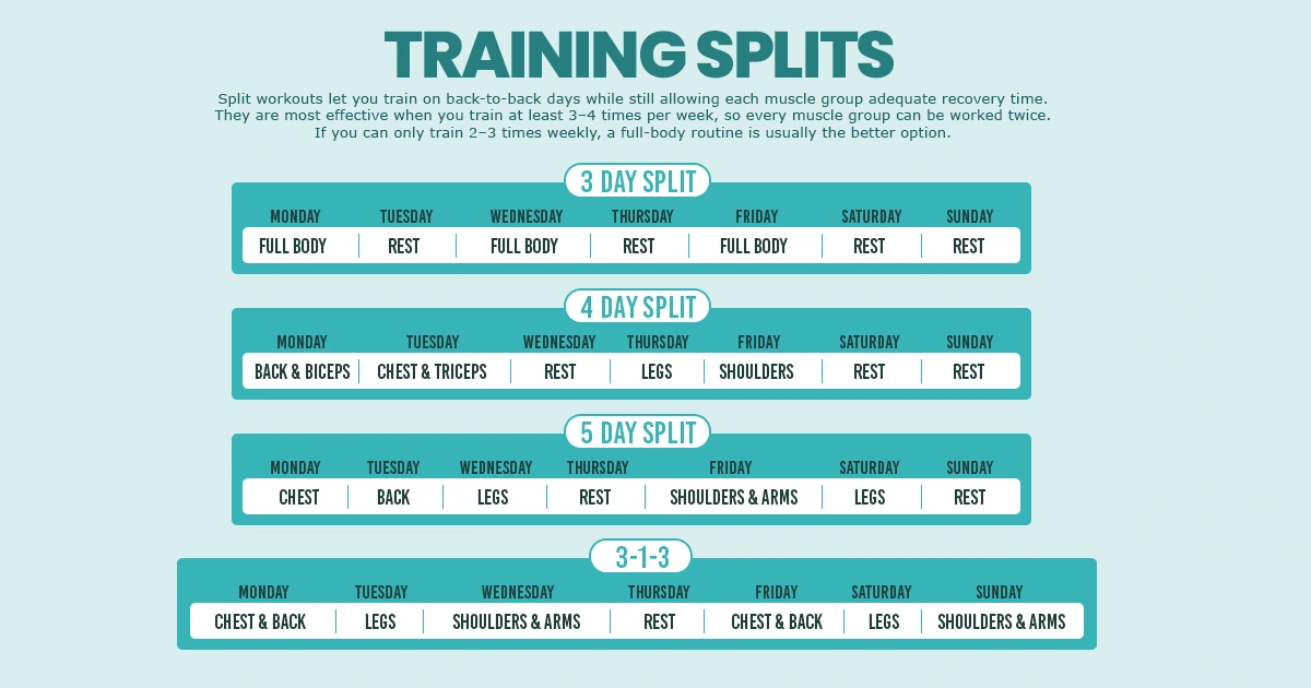 Training splits chart showing 3 day, 4 day, 5 day, and 3-1-3 gym workout plan for muscle building and strength training